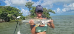 Snook fishing in Key Largo, Florida