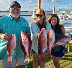 Red Snapper fishing in Orange Beach, Alabama