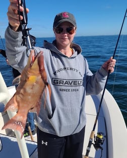 Florida Pompano, Sheepshead Fishing in Sarasota, Florida