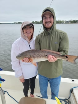 Redfish Fishing in Mount Pleasant, South Carolina