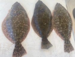 Flounder Fishing in Galveston, Texas