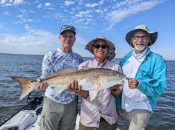 Redfish Fishing in Sulphur, Louisiana