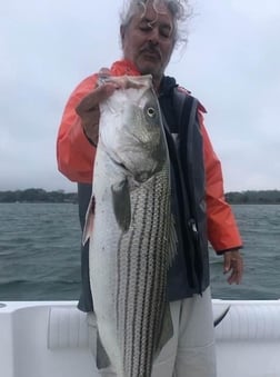 Striped Bass fishing in Montauk, New York