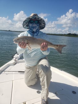 Redfish Fishing in New Smyrna Beach, Florida