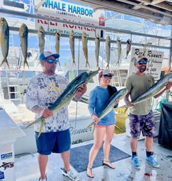 Fishing in Islamorada, Florida