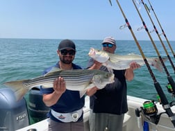 Striped Bass Fishing in Dennis, Massachusetts