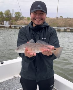 Black Drum Fishing in Galveston, Texas