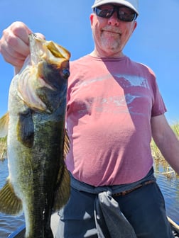 Fishing in Fort Lauderdale, Florida