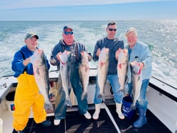 Striped Bass Fishing in Montauk, New York