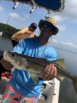 Snook Fishing in St. Petersburg, Florida