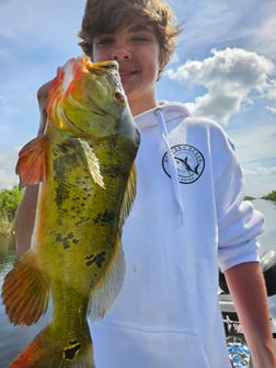 Fishing in Fort Lauderdale, Florida