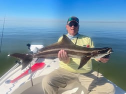 Bull Shark Fishing in Tampa, Florida