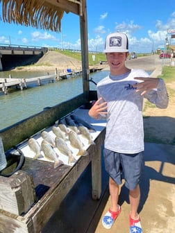 Redfish, Speckled Trout / Spotted Seatrout Fishing in Texas City, Texas