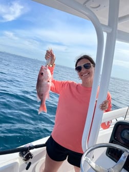 Red Snapper Fishing in Panama City Beach, Florida