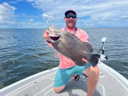 Tripletail Fishing in Buras, Louisiana