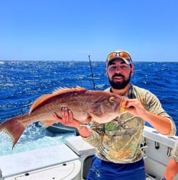 Snowy Grouper Fishing in Gulf Shores, Alabama