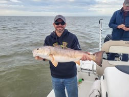 Redfish, Sheepshead Fishing in Sulphur, Louisiana