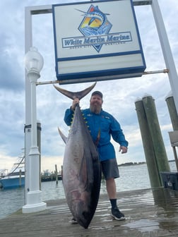 Bigeye Tuna Fishing in Jupiter, Florida