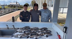 Sheepshead Fishing in Galveston, Texas