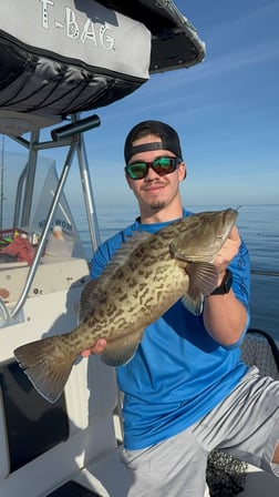 Gag Grouper Fishing in Belleair Bluffs, Florida