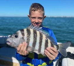 Jack Crevalle Fishing in Sarasota, Florida