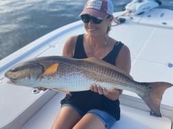 Tarpon fishing in Jacksonville Beach, Florida