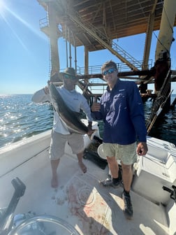 Fishing in Dauphin Island, Alabama