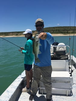 Largemouth Bass fishing in Del Rio, Texas