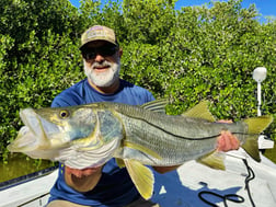 Fishing in Tavernier, Florida