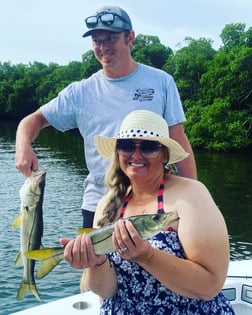 Snook fishing in St. Petersburg, Florida