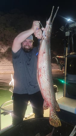 Alligator Gar Fishing in Waco, Texas