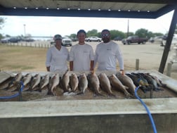 Blue Catfish, Redfish fishing in San Antonio, Texas