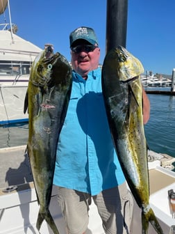 Black Seabass, Fluke fishing in Montauk, New York