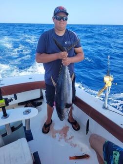 Fishing in Dorado, Puerto Rico