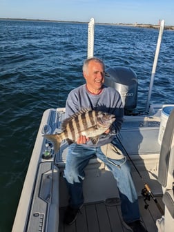 Sheepshead Fishing in Port Orange, Florida