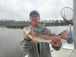 Fishing in Gulf Shores, Alabama