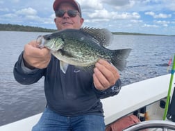 Crappie Fishing in Sarasota, Florida