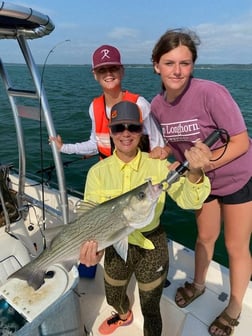 Hybrid Striped Bass Fishing in Runaway Bay, Texas