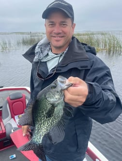 Largemouth Bass Fishing in Okeechobee, Florida, USA