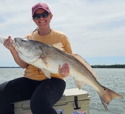 Redfish Fishing in Mount Pleasant, South Carolina