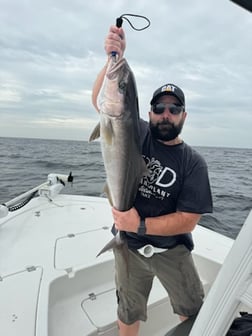 Fishing in Panama City, Florida