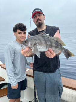 Fishing in Los Angeles, California