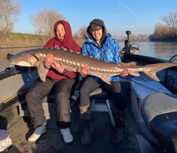 Sturgeon Fishing in Anderson, California