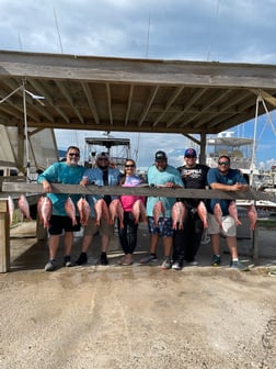 Mahi Mahi / Dorado, Red Snapper fishing in South Padre Island, Texas