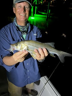 Snook Fishing in Jupiter, Florida