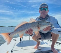 Redfish Fishing in New Smyrna Beach, Florida