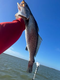 Fishing in Boothville-Venice, Louisiana