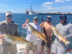 Redfish Fishing in Pensacola, Florida