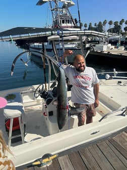 Thresher Shark Fishing in Long Beach, California