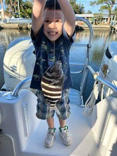 Sheepshead Fishing in Clearwater, Florida